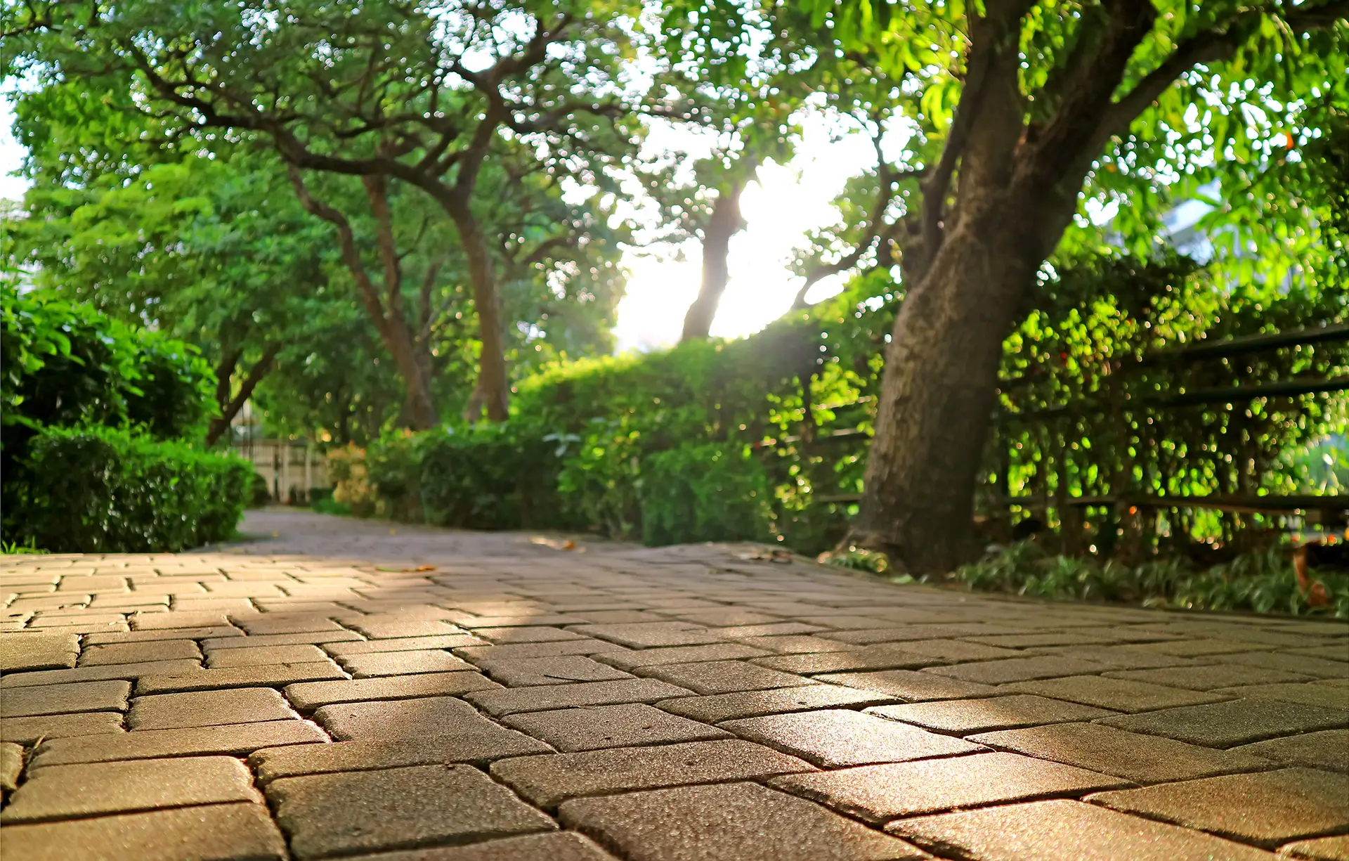 custom landscaping