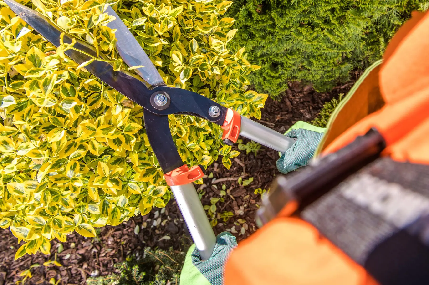 Residential Landscape Maintenance