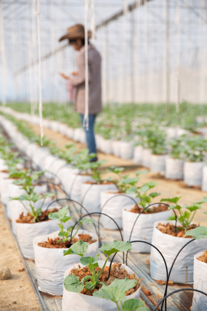 Irrigation Services