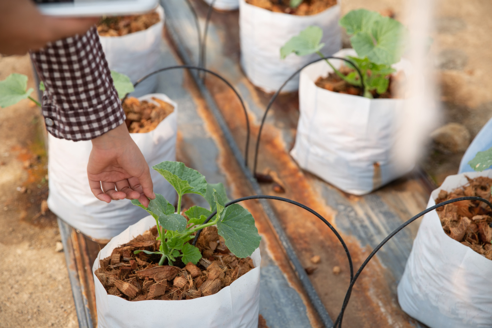 Irrigation Services