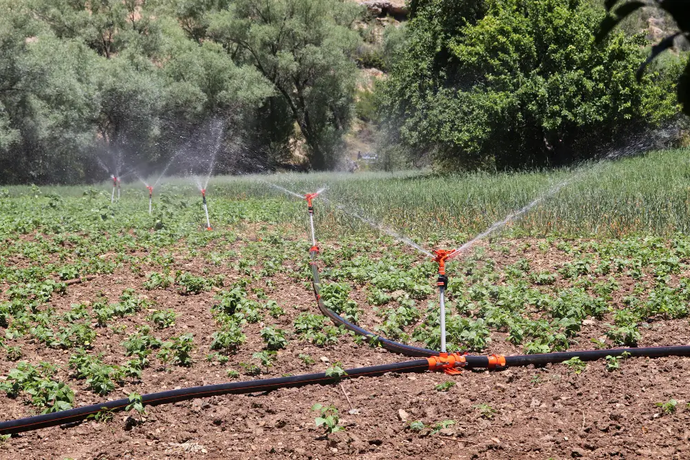 Irrigation Winterization